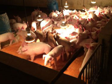 传统加热保温方式的弊端