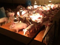 传统加热保温方式的弊端